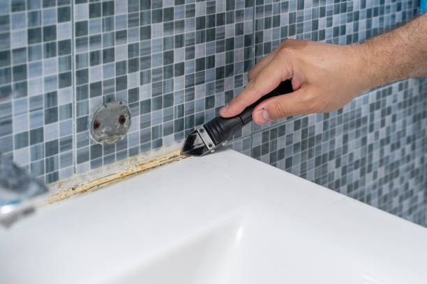 Best Commercial Mold Removal  in Menomonie, WI