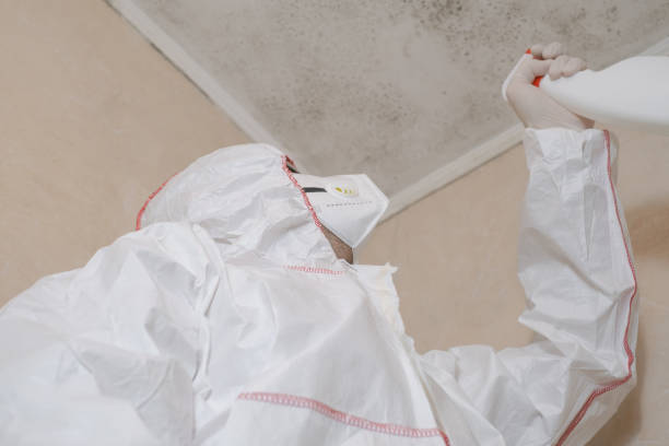 Best Mold Cleaning Services  in Menomonie, WI